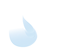 logo bims